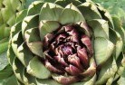 Blackwaterplant-nursery-1.jpg; ?>